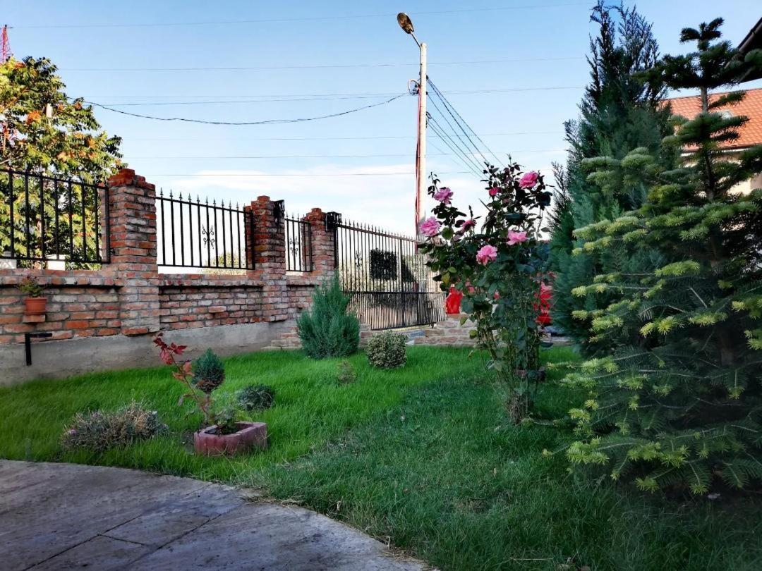 Casa Alba Hotell Năvodari Exteriör bild