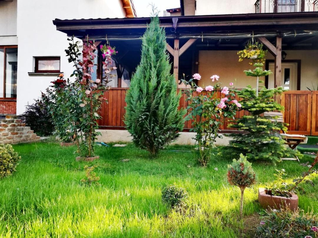 Casa Alba Hotell Năvodari Exteriör bild