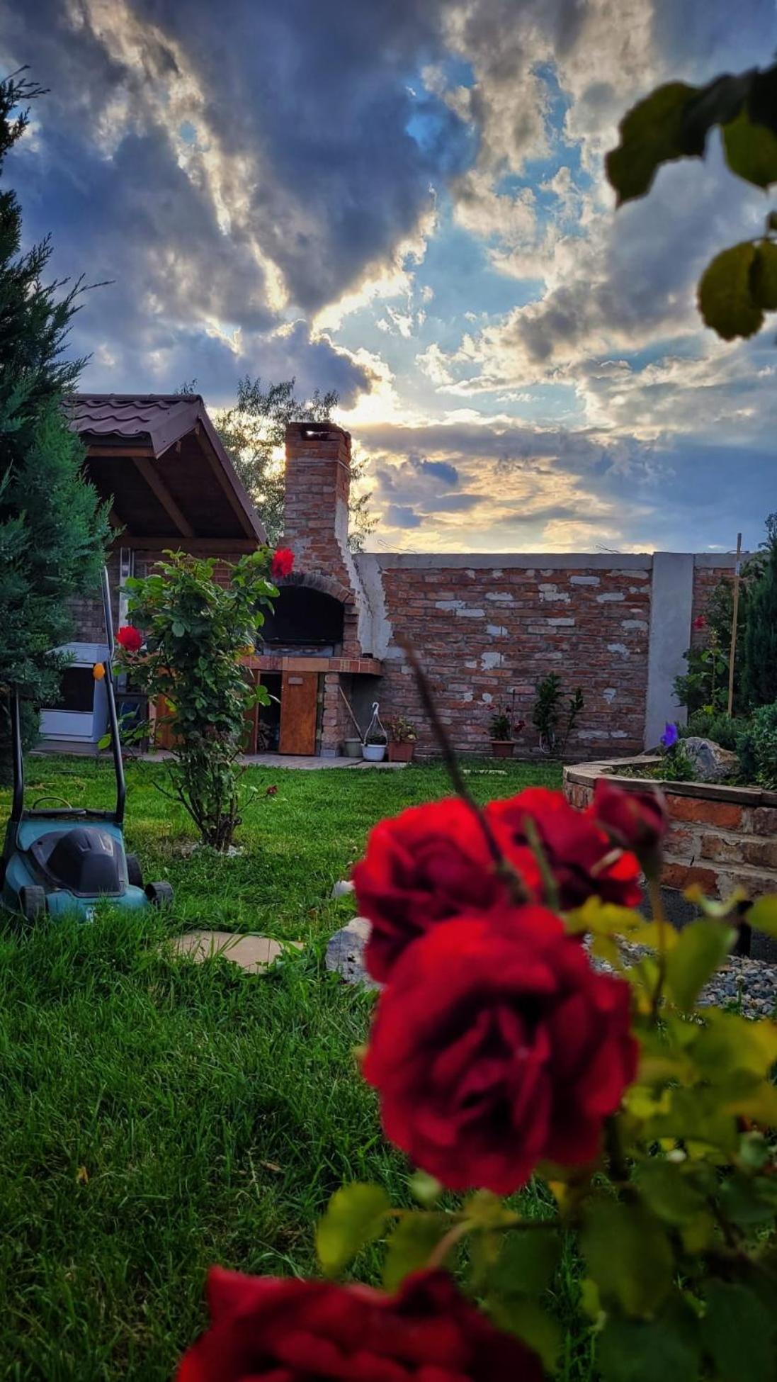 Casa Alba Hotell Năvodari Exteriör bild