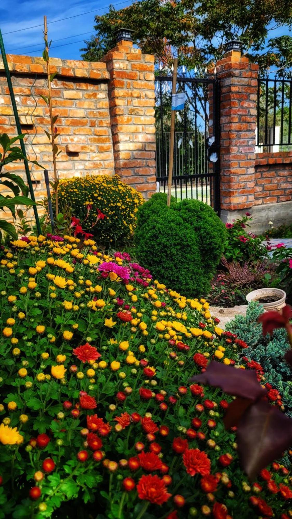 Casa Alba Hotell Năvodari Exteriör bild